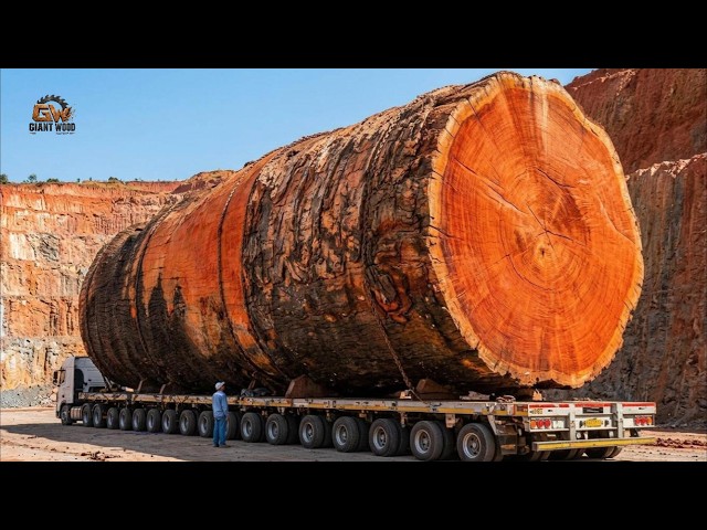 This 3000-Year-Old Tree Had Been Hiding a Masterpiece for Millennia