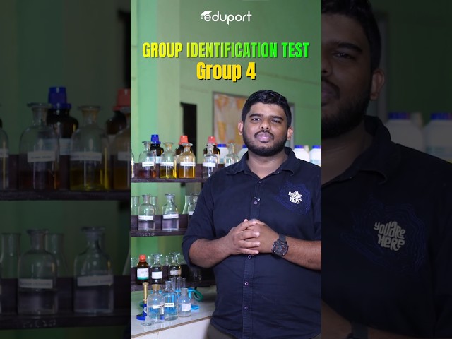 Group Identification Test - Group 4 | +2 Chemistry Lab
