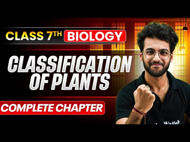 Classification of Plants | Class 7 Science ICSE | Complete Chapter Explanation | PW ICSE