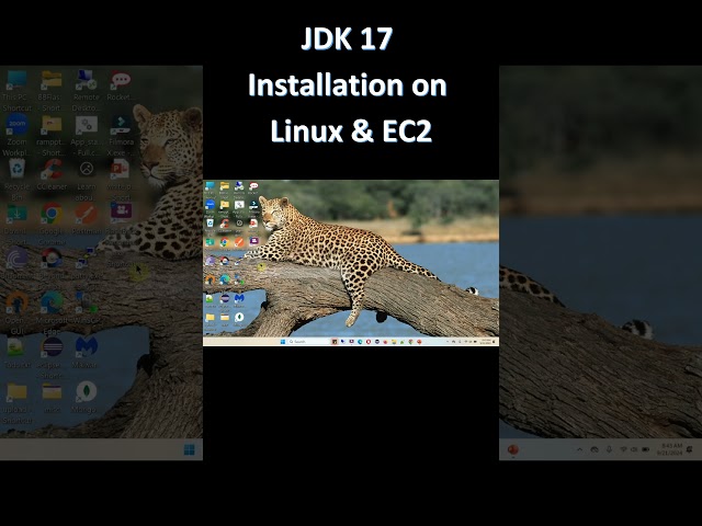 JDK 17 Installation on Linux & EC2
