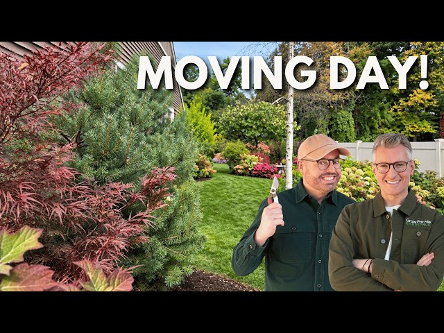 It’s Moving Day! 🌿 Rearranging Our Garden Before Winter