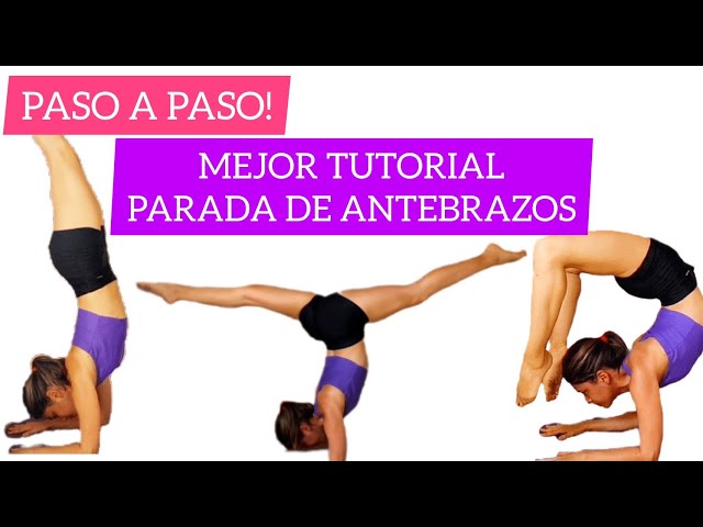 FOREARM STAND STEP BY STEP - Best Beginner Handstand Tutorial | Sabrina Acosta