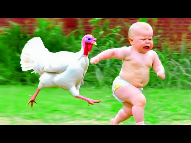 Hilarious Baby Reactions To Farm Animals - Funny Baby Video | Pet Paws