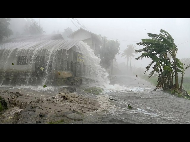 RAINSTORM FOR WHEN YOU LONG FOR SIMPLE DAYS 🌧️🌾 Sleep Deep in a Quiet Village