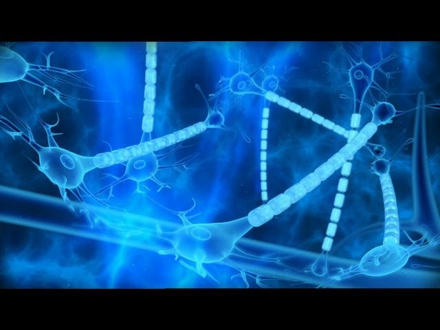 MS Cure? Can Multiple Sclerosis be cured?