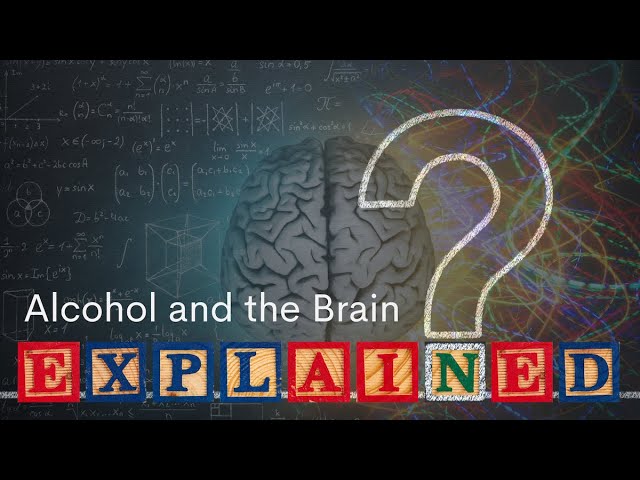 Alcohol and the Brain: Explained