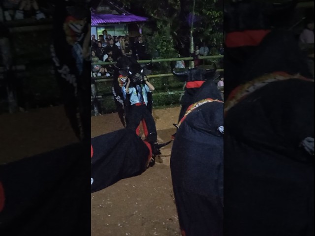 BANTENG BOLO DEWO | #culture #carnaval #sports #trip #art #shorts #subscribe