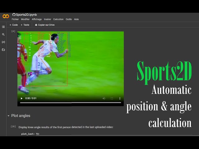 Sports2D tutorial