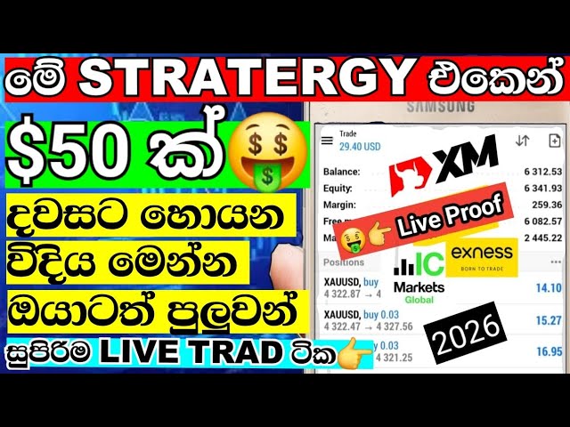 රු17,300 ක්🤑 Forex Live Trading New Wining Stratergy #trading #forexsinhala #chartanalysis #crypto