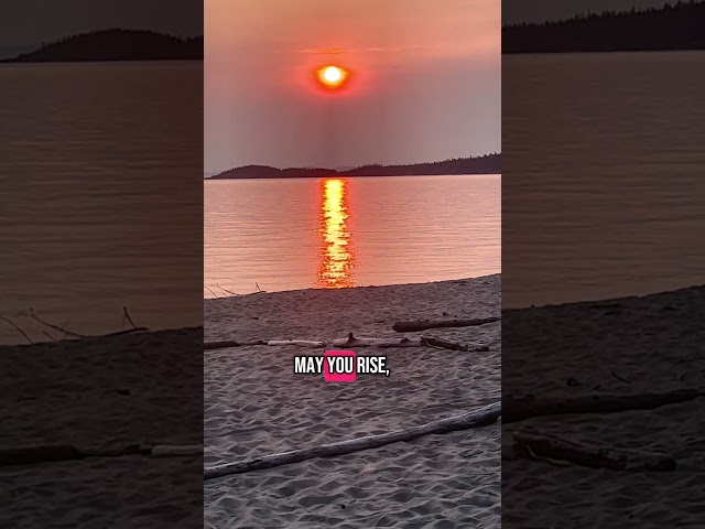 ~May you rise, brave Phoenix🔥🦅 #poetry #spirituality #phoenix #inspirational