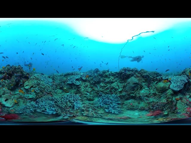 Sodwana Bay Coral Reef 360