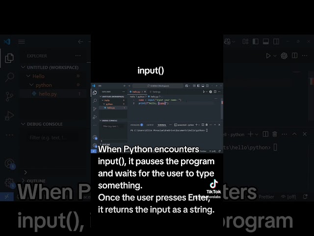 Your First Python Program with Input! 🔥 #shorts #codenewbie #helloworld #python