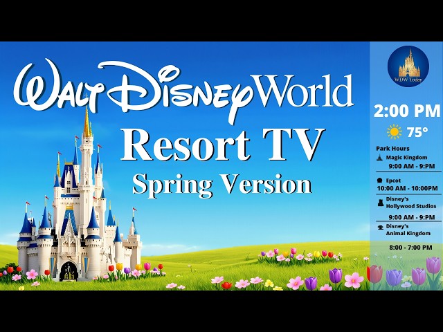 WDW Today Channel - New Music!! | Walt Disney World Resort TV Live 24/7