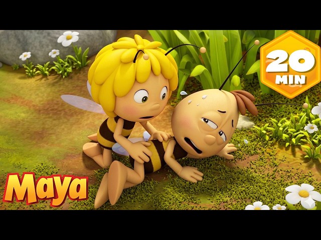 ¿Willy Finge una Lesión Para No Trabajar? 🤕 La Abeja Maya Latino 🐝 Recopilación  | Dibujos