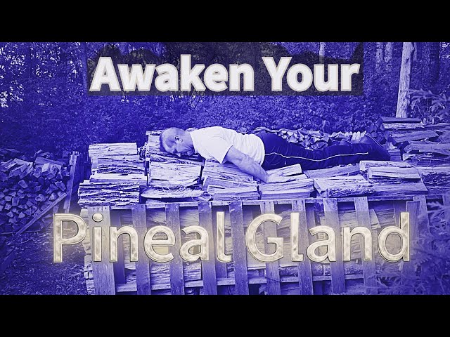 A Spiritual Approach To Firewood. AI Takeover.