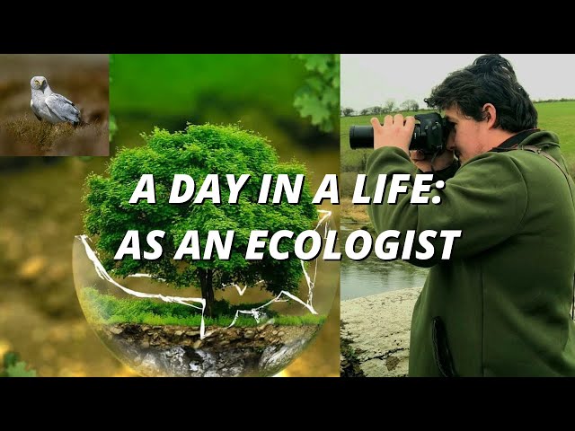 A Day In A Life As An Ecologist