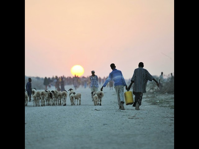 Why social protection is essential to shield the most vulnerable from the climate crisis