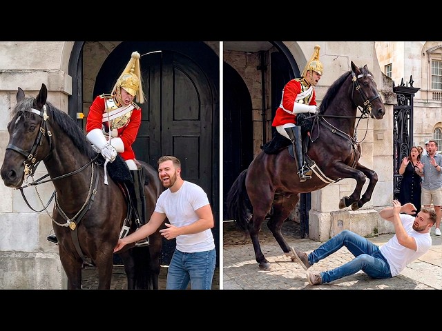 When Dumb Tourists Test Royal Guards’ Horses And Instantly Regret It