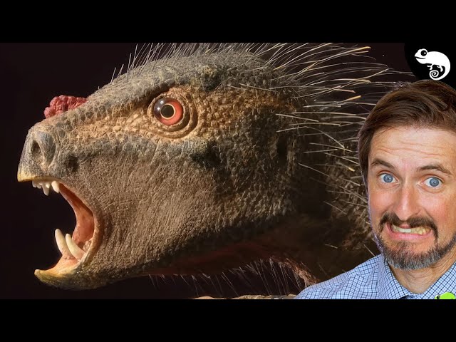 10 Prehistoric Animals I Didn't Know Existed