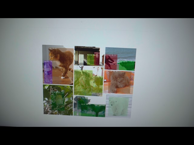 Jetson Nano Object Detection from USB WebCam | HDR