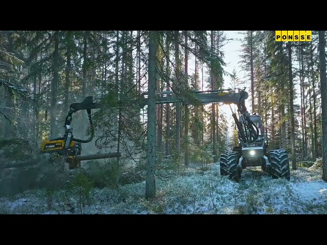 PONSSE Bear con nueva grúa activa H8 y C6