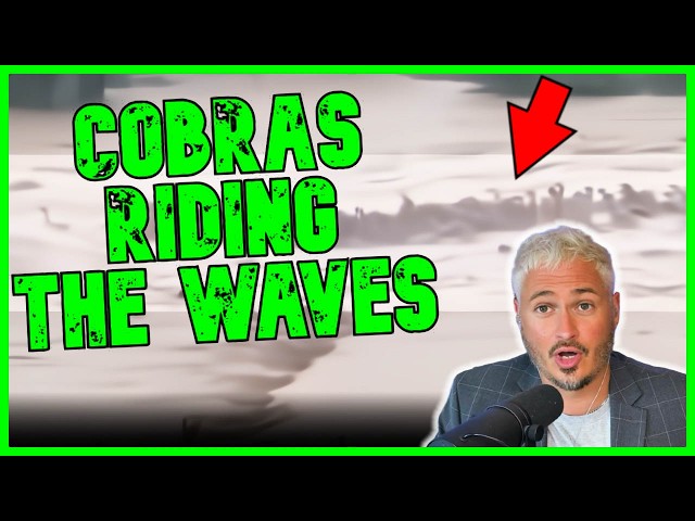 900 Deadly Snakes Ride Flood Wave & Attack Villagers | The Kyle Kulinski Show