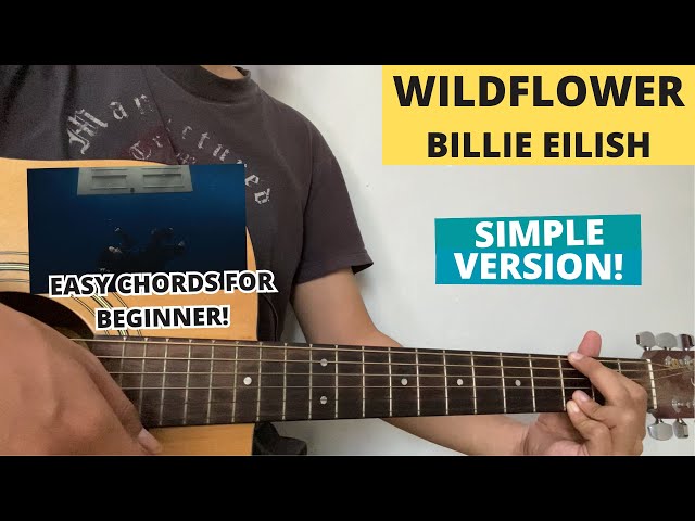 Wildflower - Billie Eilish (Guitar Tutorial) (Easy Chords for Beginner) VIRAL!
