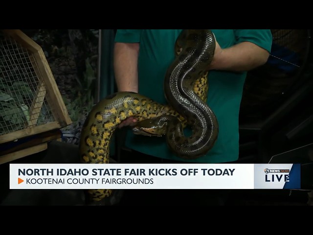 Reptile room returns for North Idaho Fair
