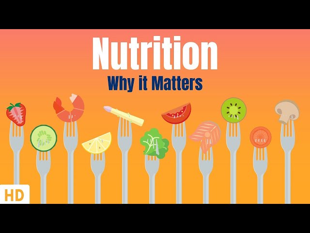 Nutrition And Why It Matters