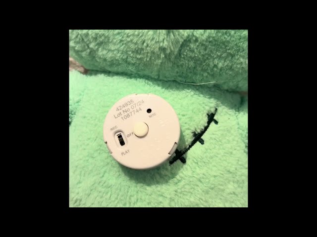 How to Open & Replace Batteries in a Build-A-Bear Soundbox 🔧🔋 | Sanrio Zombie Pompompurin™ Plush