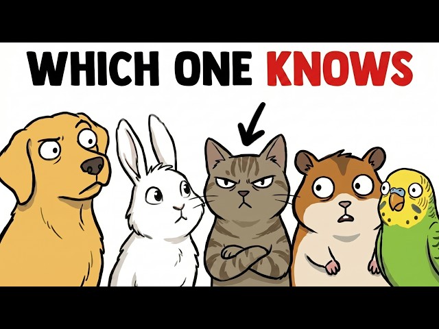 Do Animals Know They're Pets?