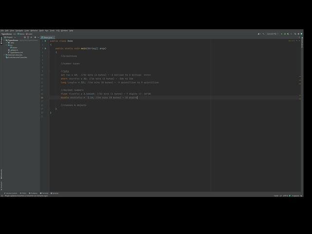 Java's Types: Primitives and Classes