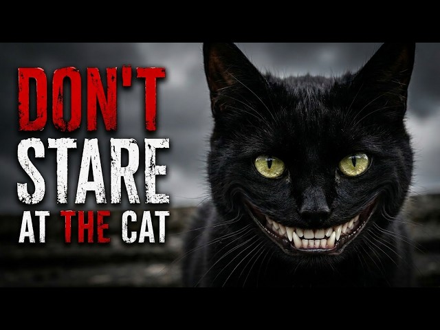 DON'T STARE AT THE CATS | Horror Short Film
