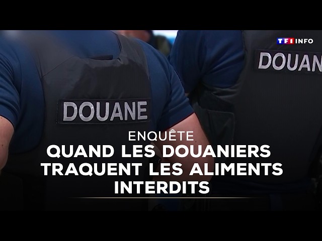 When Customs Officers Track Down Forbidden Food | TF1 INFO
