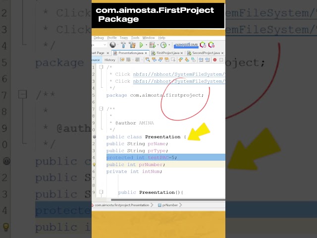 Java Protected Access Modifier Explained
