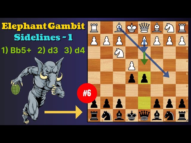 Tricky Elephant Gambit - 6 (Sidelines Bb5-d3-d4)