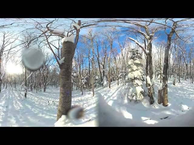 知床 360° 4K カメラライブ