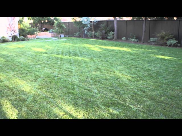 How to Landscape a Big Backyard : Landscaping & Garden Design