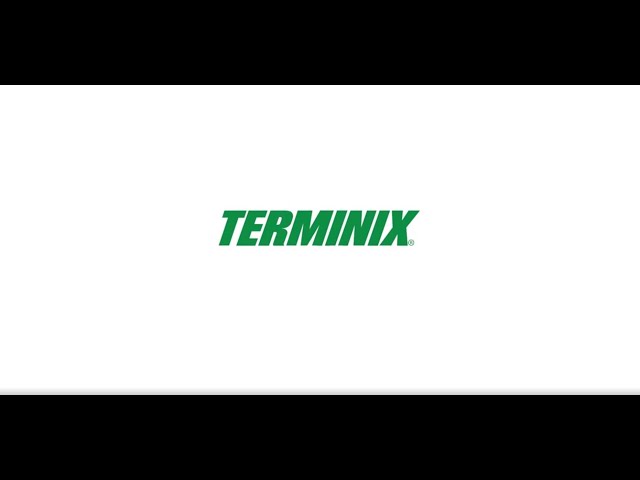 Terminix Career and Culture Video