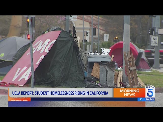 Nearly 300K California students are homeless, enough to fill 5 Dodger Stadiums: UCLA