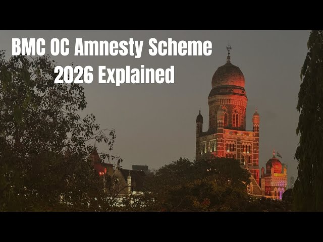 OC AMNESTY SCHEME 2026 EXPLAINED