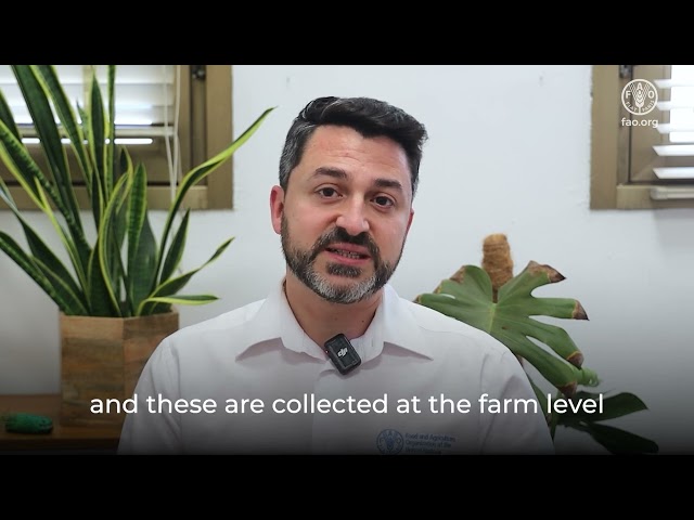 AMR Farmyard – Expert video on the veterinary services provider