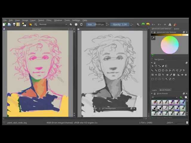 Krita 2.9 quicktip: Value workflow with the LUT docker