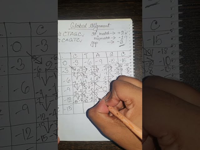 Global Alignment || Bioinformatics || Problem Solved 01 || Easiest Way || Bangla Tutorial ||