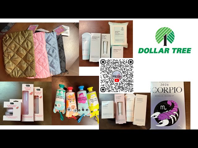 7 Dollar Tree stores 1 day INSANE haul of impossible finds!