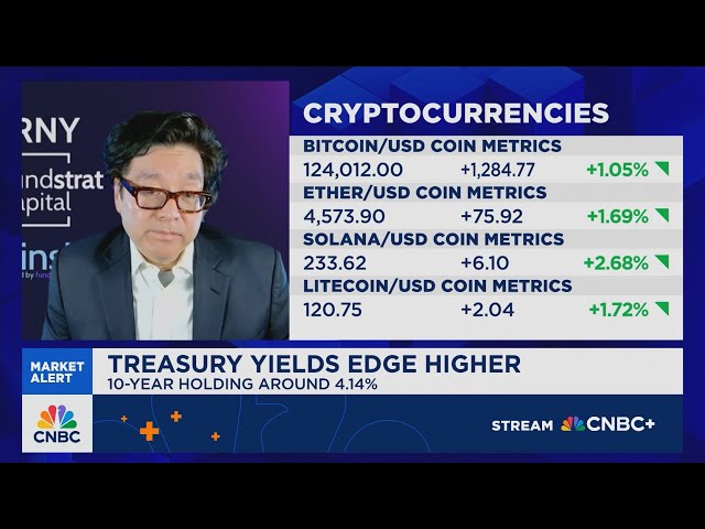 Tom Lee: This is the most hated V-shaped rally