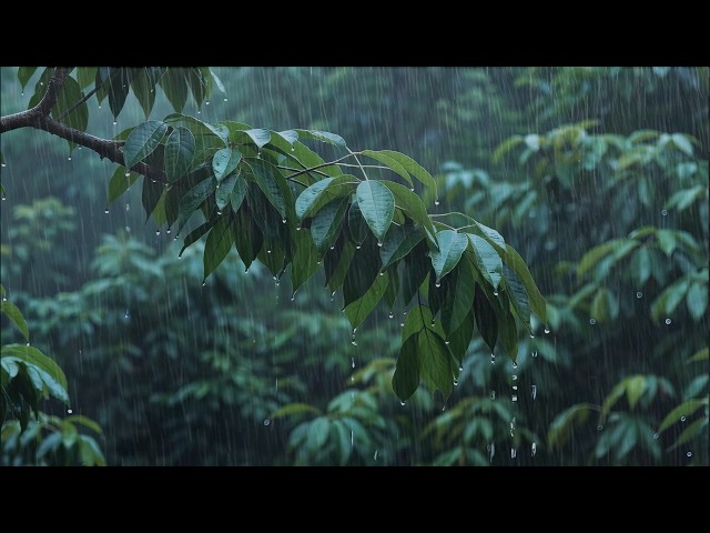 Sleep Comfortably with GENTLE RAIN on Forest Leaves | Fall Asleep Fast & Beat Insomnia