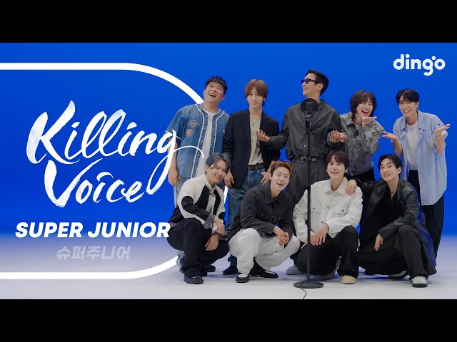 SUPER JUNIOR (슈퍼주니어)의 킬링보이스를 라이브로! – 쏘리 쏘리, U, Miracle, Express Mode, 로꾸거, 너라고, | 딩고뮤직 | Dingo Music