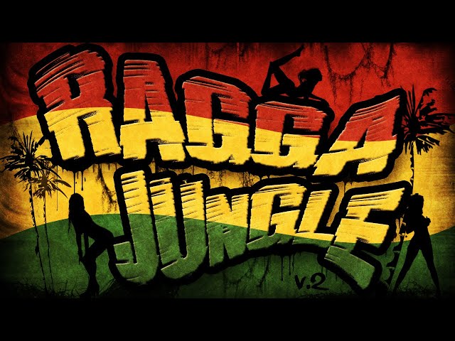 RAGGA JUNGLE (v.2)　　　　　　　Drum n Bass Mix
