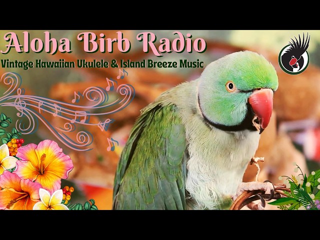 ✨Twilight Nest Radio🌿24/7 Soft Gentle Rain Forest Sounds & Zen Music for Anxious Birds🕊️Bird Room TV